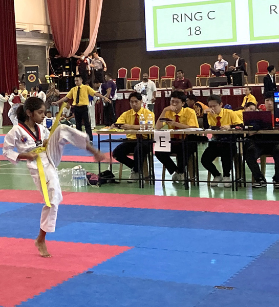 Taekwondo Stars!