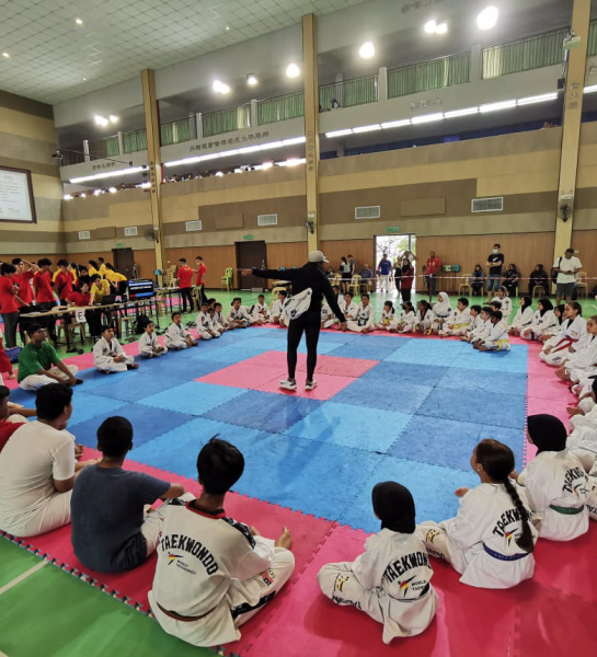 Taekwondo Stars!