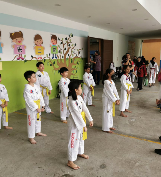 Taekwondo Stars!