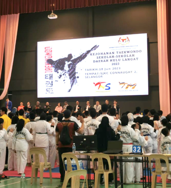 Taekwondo Stars!