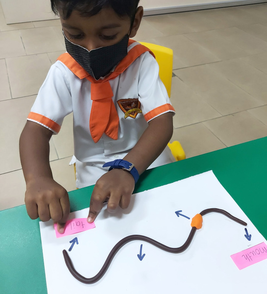 Junior Learners Explore Wiggle Worms