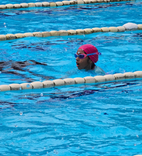 Swimming Competition