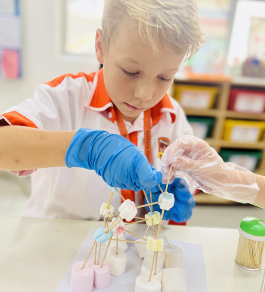 Year 4 IPC Brainwave: Health and Wellbeing Task