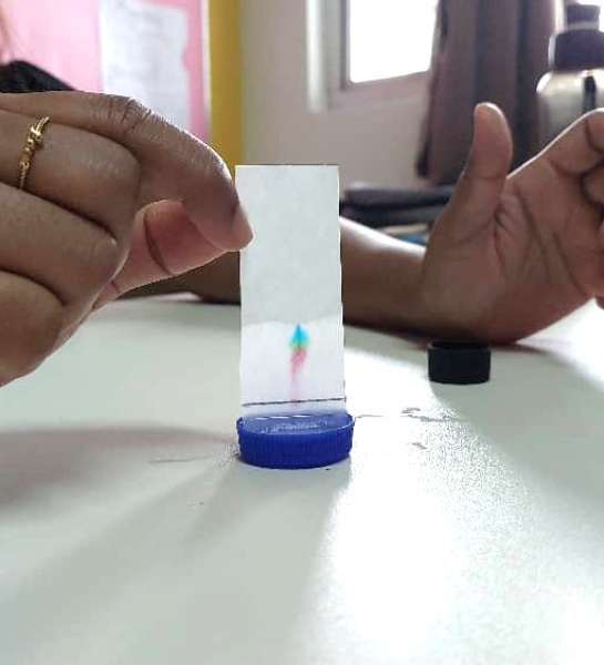 Chromatography Test