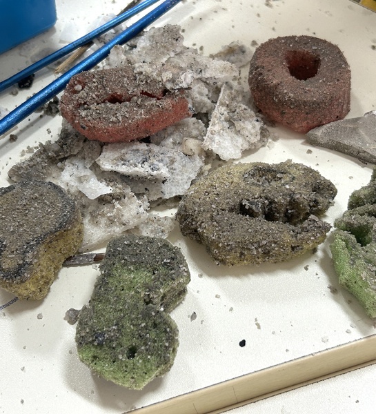 Young Archaeologists Uncover Fossil Discovery!