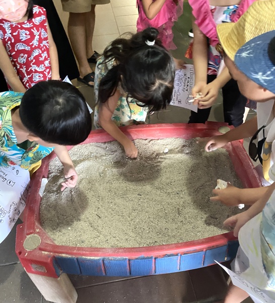 Exploring the Ocean Treasures