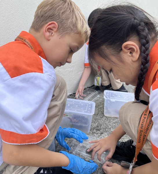 Bringing the Rainforest into the Classroom  