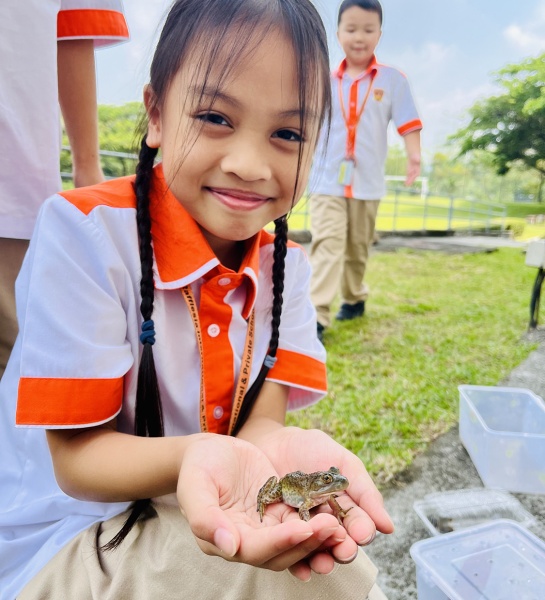 Bringing the Rainforest into the Classroom  