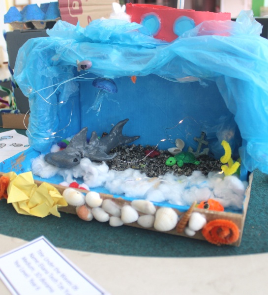 Art Exhibition: Ocean Wonders