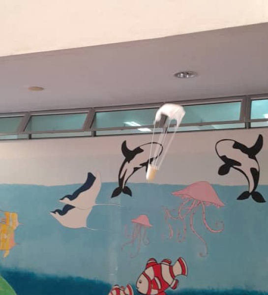 Rafflesian Scientists Take Flight!