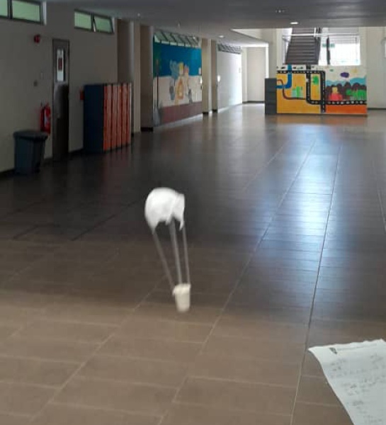 Rafflesian Scientists Take Flight!