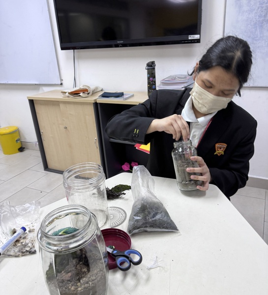  Terrarium Making