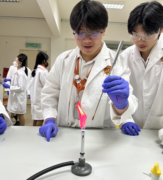  Igniting Curiosity in the Lab!
