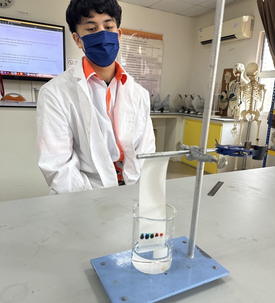 Year 11 Combined Science in the Lab!
