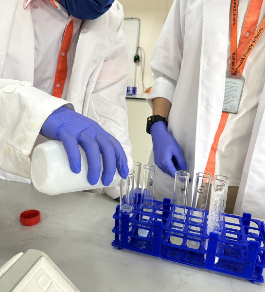 Year 11 Combined Science in the Lab!