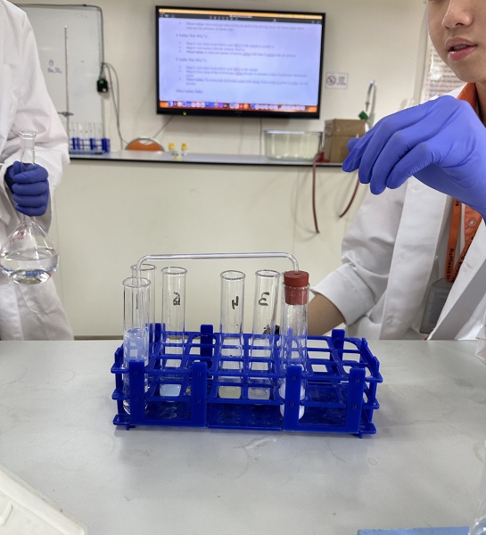 Year 11 Combined Science in the Lab!