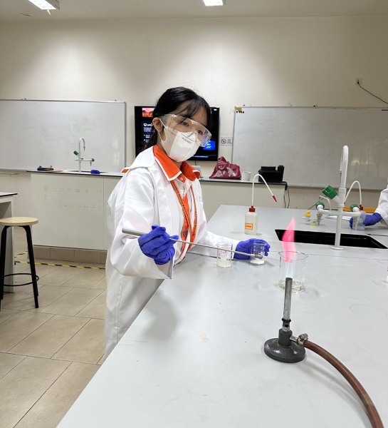 Year 11 Combined Science in the Lab!
