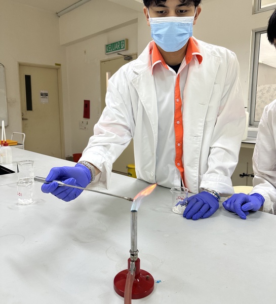 Year 11 Combined Science in the Lab!