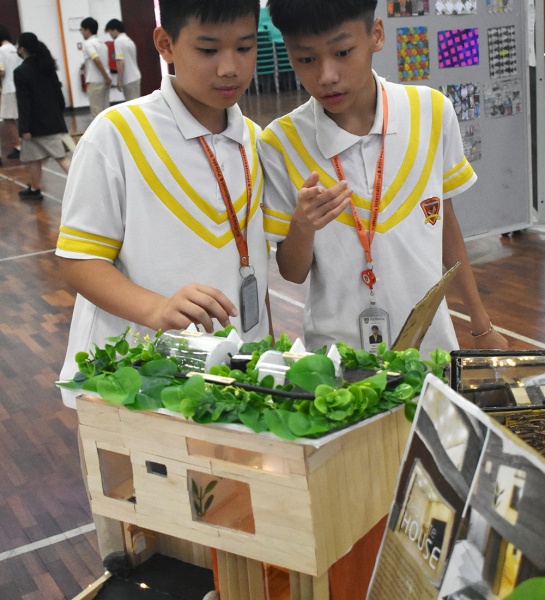 STEM Exhibition