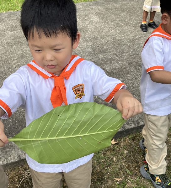 Exploring The World Around Us!