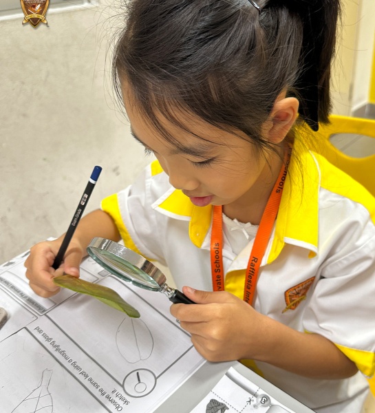 Exploring Nature, One Detail at a Time