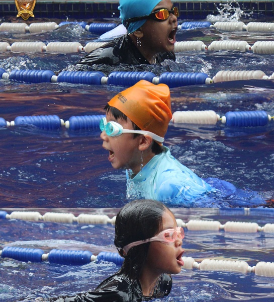 International School