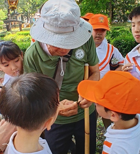 International School