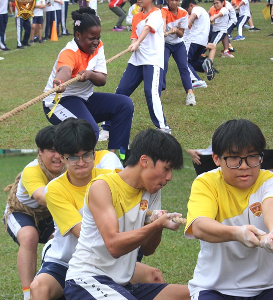 International School