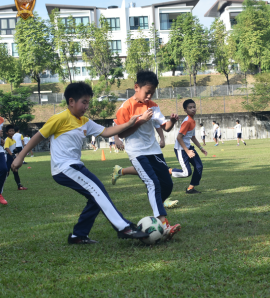 International School