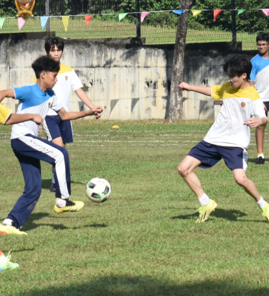 International School
