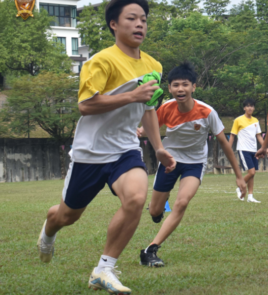 International School