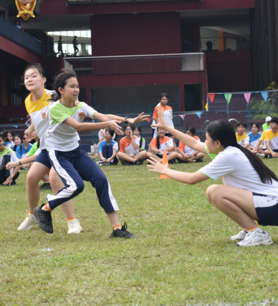 International School