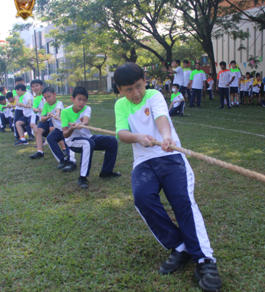International School