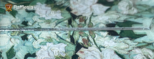 The Art of Reflection Photography!