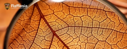 Exploring Nature, One Detail at a Time