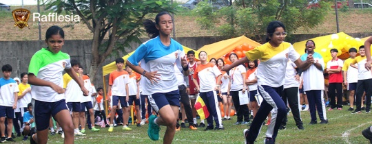 International School
